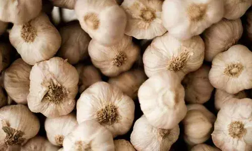 भारत में चीन भेज रहा सफेद जहर, जहरीले खेल से खत्म करना चाहता है इंडिया का पावर