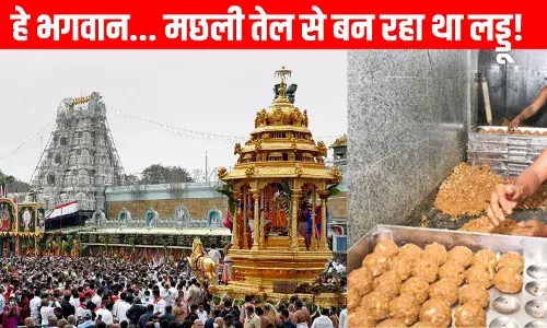 Tirupati Prasad: मछली का तेल... तिरुपति मंदिर के प्रसाद के साथ ये क्या? Tirupati Prasad: मछली का तेल... तिरुपति मंदिर के प्रसाद के साथ ये क्या?