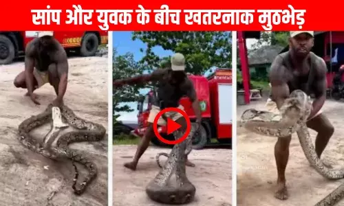 Saanp Ka Video: युवक के सामने रंगदारी दिखा रहा था सांप, लड़के ने गर्दन को पकड़ा और बता दी औकात
