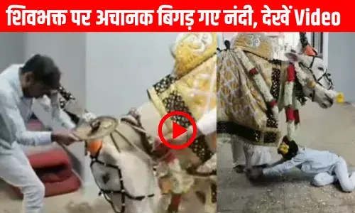 Nandi Ka Video: पहले पटका फिर दिया आशीर्वाद, महादेव के नंदी का रूप देख शिवभक्त परेशान