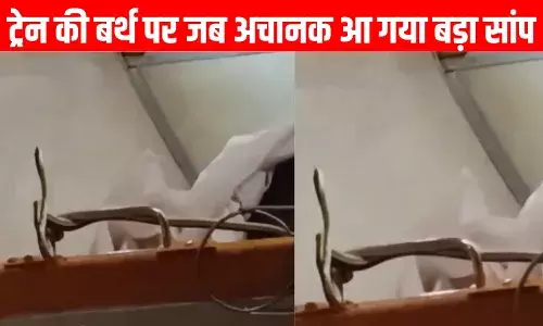 Snake In Train: मुंबई जा रही गरीब रथ के एसी कोच की सीट पर अचानक आ गया सांप, फिर तो... Snake In Train: मुंबई जा रही गरीब रथ के एसी कोच की सीट पर अचानक आ गया सांप, फिर तो...