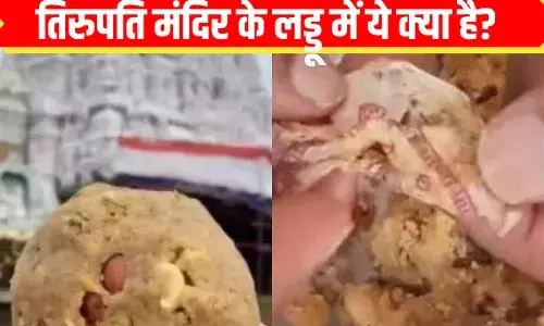 तिरुपति मंदिर से प्रसाद लेकर आया था परिवार, पैकेट खोलते ही उड़े सबके होश! तिरुपति मंदिर से प्रसाद लेकर आया था परिवार, पैकेट खोलते ही उड़े सबके होश!