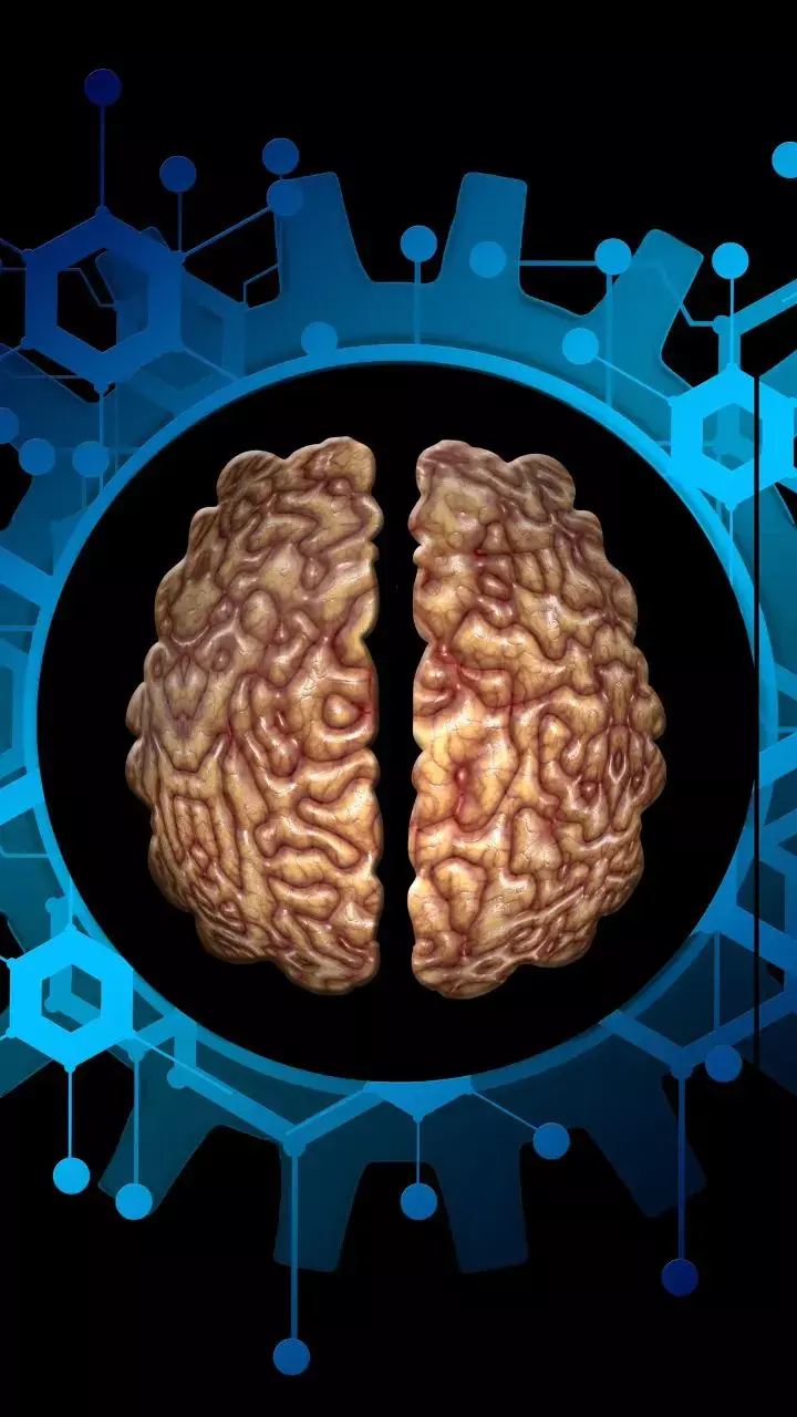 Google की तरह हो जाएगी आपके ब्रेन की याददाश्त