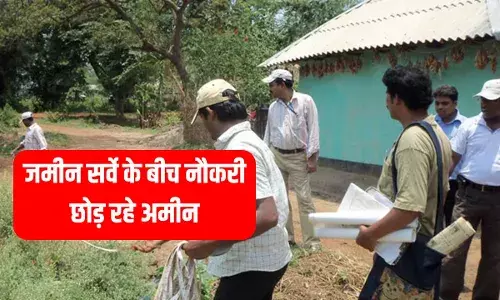 बिहार जमीन सर्वे के बीच नौकरी छोड़ने लगे अमीन, वजह जान हो जाएंगे हैरान