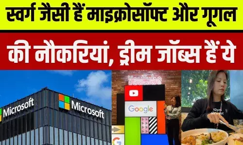 Microsoft में बस एक वीक में 15-20 घंटे काम, Google में तो मौज ही मौज Microsoft में बस एक वीक में 15-20 घंटे काम, Google में तो मौज ही मौज