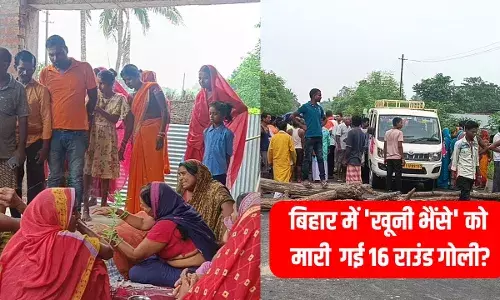 बिहार में भैंसे को मारी 16 गोली? खूनी भैंसे के खौफ से सड़क पर उतरे लोग, जानें पूरा मामला बिहार में भैंसे को मारी 16 गोली? खूनी भैंसे के खौफ से सड़क पर उतरे लोग, जानें पूरा मामला