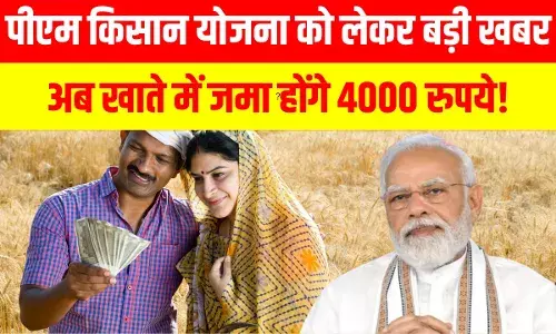 PM Kisan: किसानों के लिए गुड न्यूज, खाते में जमा होंगे 4000 रुपये; जानें किसको मिलेंगे PM Kisan: किसानों के लिए गुड न्यूज, खाते में जमा होंगे 4000 रुपये; जानें किसको मिलेंगे