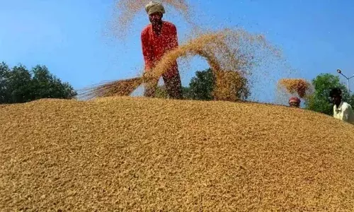 Good News For Bihar Kisan: बिहार में धान खरीद की तारीख आई सामने, जानें सरकार कब से लेगी किसानों का धान Good News For Bihar Kisan: बिहार में धान खरीद की तारीख आई सामने, जानें सरकार कब से लेगी किसानों का धान