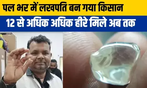 Farmer Got Diamond: पन्ना में हीरे जैसी चमक रही किसान की किस्मत, अब तक मिले हैं 12 से अधिक डायमंड Farmer Got Diamond: पन्ना में हीरे जैसी चमक रही किसान की किस्मत, अब तक मिले हैं 12 से अधिक डायमंड