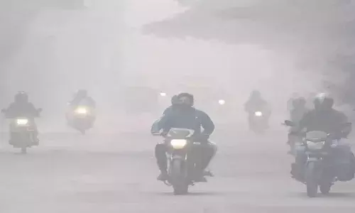 Bihar Weather 21 November: बिहार में ठंड का कहर, 15 जिलों में घना कोहरा, जानें IMD का अलर्ट