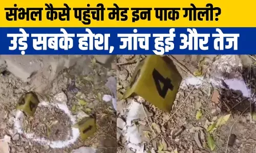 Sambhal: संभल हिंसा में बड़ा खुलासा, पाकिस्तान से आई थी चिंगारी, मिला सबूत