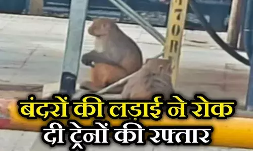 एक केला... दो बंदर और थम गई ट्रेनों की रफ्तार, रेलवे स्टेशन पर ऐसी लड़ाई कि 60 मिनट तक होता रहा बवाल एक केला... दो बंदर और थम गई ट्रेनों की रफ्तार, रेलवे स्टेशन पर ऐसी लड़ाई कि 60 मिनट तक होता रहा बवाल