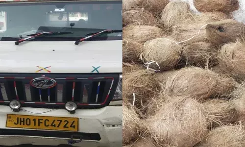 झारखंड नंबर पिकअप से नारियल लेकर आया मुजफ्फरपुर, कोकोनट हटाते ही बिहार पुलिस के उड़े होश झारखंड नंबर पिकअप से नारियल लेकर आया मुजफ्फरपुर, कोकोनट हटाते ही बिहार पुलिस के उड़े होश