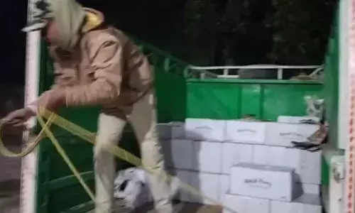 बिहार: पिकअप, स्कॉर्पियो और रॉयल पार्टी... पुलिस ने यूं हटाया चारा वाला राज बिहार: पिकअप, स्कॉर्पियो और रॉयल पार्टी... पुलिस ने यूं हटाया चारा वाला राज
