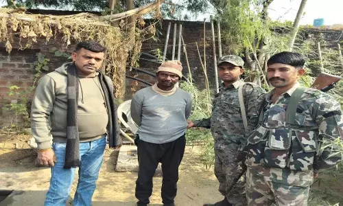 घर के आंगन को बना दिया था खेत, लाइन लगाकर लेते थे लोग; पुलिस ने उठाया राज से पर्दा तो हैरान हुए गांव वाले घर के आंगन को बना दिया था खेत, लाइन लगाकर लेते थे लोग; पुलिस ने उठाया राज से पर्दा तो हैरान हुए गांव वाले