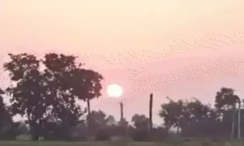 बिहार में जेट स्ट्रीम ने पकड़ी रफ्तार, 4 डिग्री तक गिरेगा पारा; जानें पटना IMD का लेटेस्ट अलर्ट बिहार में जेट स्ट्रीम ने पकड़ी रफ्तार, 4 डिग्री तक गिरेगा पारा; जानें पटना IMD का लेटेस्ट अलर्ट