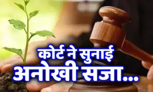 बिहार: औरंगाबाद कोर्ट ने सुनाई अनोखी सजा,  15 दिनों तक देव सूर्य मंदिर में सामुदायिक सेवा; जानें पूरा मामला बिहार: औरंगाबाद कोर्ट ने सुनाई अनोखी सजा,  15 दिनों तक देव सूर्य मंदिर में सामुदायिक सेवा; जानें पूरा मामला