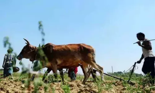 बिहार के किसानों के लिए गुड न्यूज, अब शून्य प्रतिशत ब्याज पर KCC; नीतीश सरकार ने खुश कर दिया बिहार के किसानों के लिए गुड न्यूज, अब शून्य प्रतिशत ब्याज पर KCC; नीतीश सरकार ने खुश कर दिया