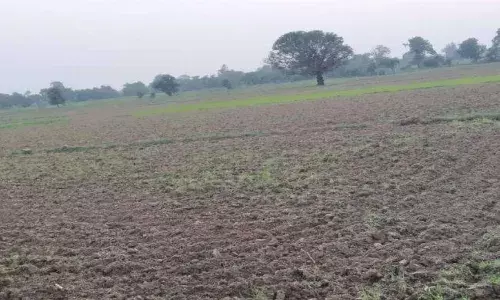 बिहार में आप भी हैं जमींदार तो 31 मार्च से पहले कर लें ये काम, नहीं तो हाथ से निकल जाएगी जमीन! बिहार में आप भी हैं जमींदार तो 31 मार्च से पहले कर लें ये काम, नहीं तो हाथ से निकल जाएगी जमीन!