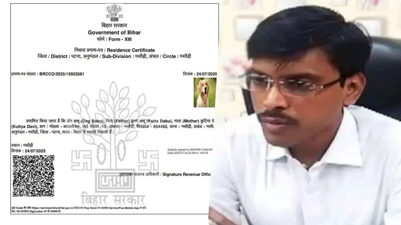 बिहार: डॉग बाबू मामले में कड़ी कार्रवाई, नप गए आईटी सहायक; राजस्व अधिकारी सस्पेंड बिहार: डॉग बाबू मामले में कड़ी कार्रवाई, नप गए आईटी सहायक; राजस्व अधिकारी सस्पेंड